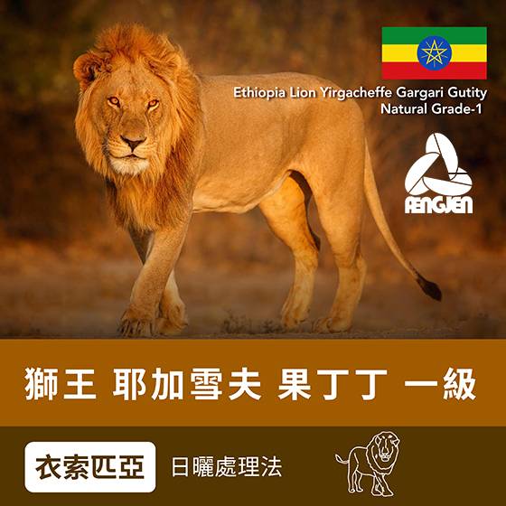 果丁丁