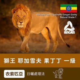 果丁丁
