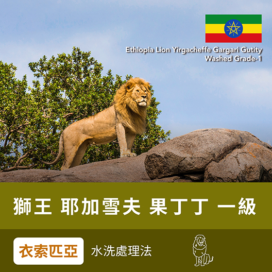 果丁丁