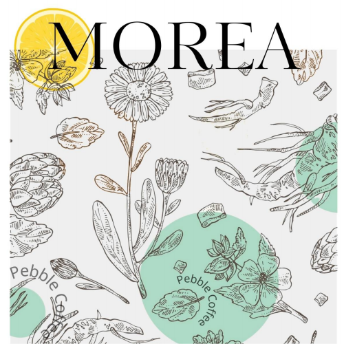 茉莉雅/檸檬花蜜