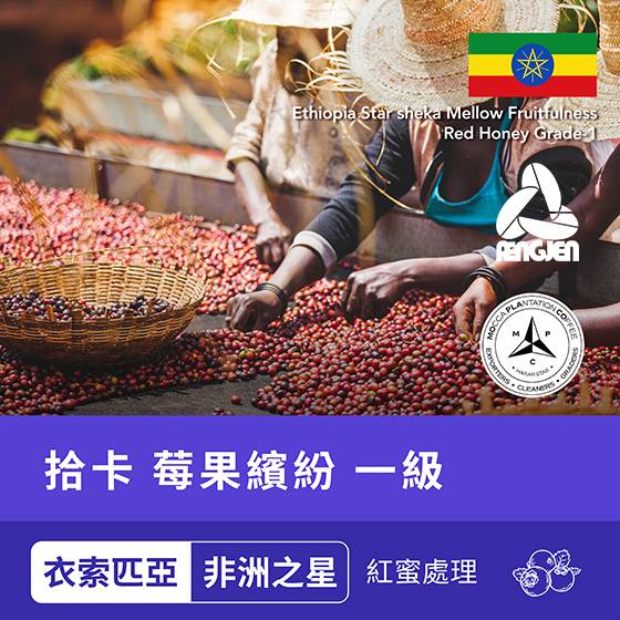 莓果繽紛