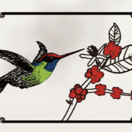 蜂鳥