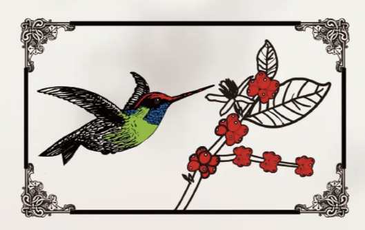 蜂鳥