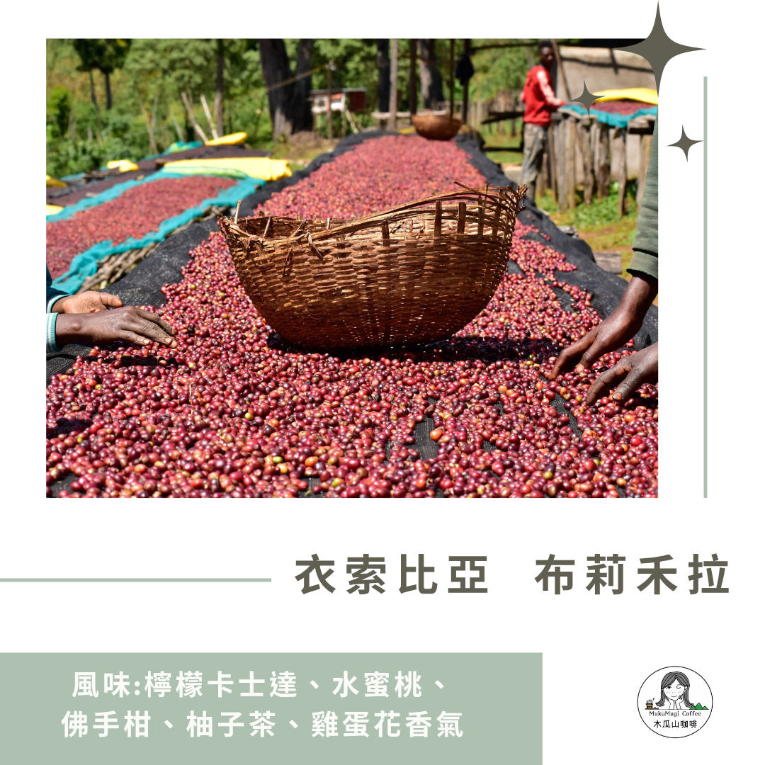 布莉禾拉